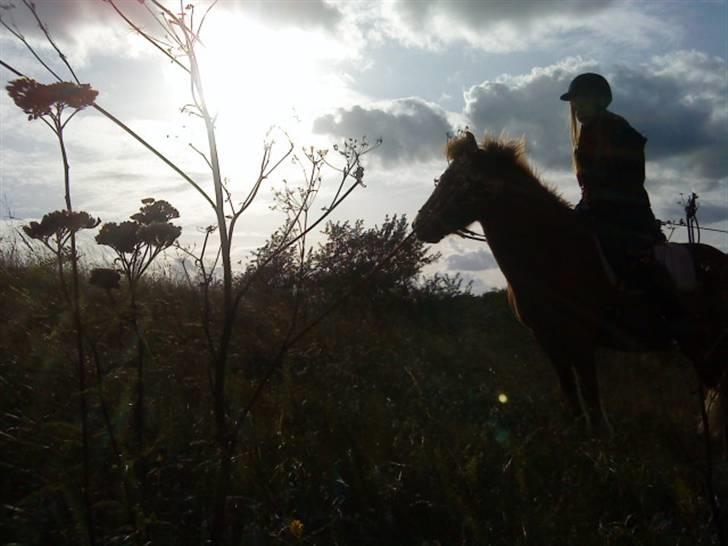 Islænder Embla fra Hessellund - Iben og Embla rider op af bakken (; *Fotograf: Mig* billede 9