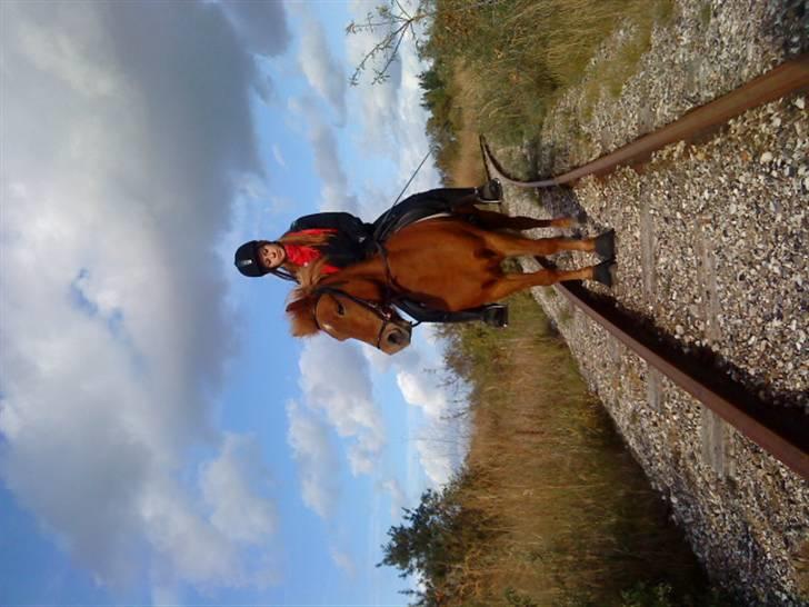 Islænder Embla fra Hessellund - Iben og Embla på togskinnerne i Hedeland (: *Fotograf: Mig* billede 10