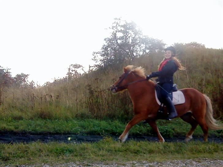 Islænder Embla fra Hessellund - Iben og Embla rider på stien i Hedeland<3 *Fotograf: Mig* billede 12