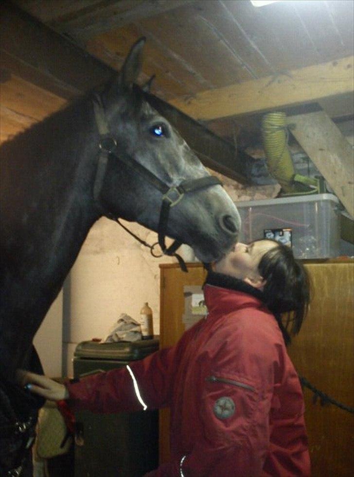 Fuldblod (XX) Kozlak XX RIP billede 8