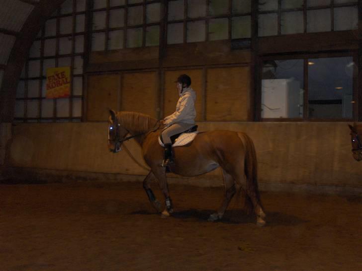 Frederiksborg Maja - Gammel part billede 9