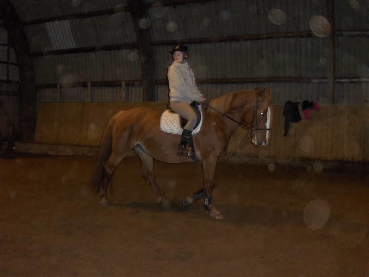 Frederiksborg Maja - Gammel part billede 10