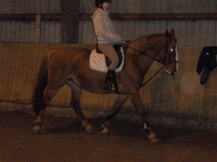 Frederiksborg Maja - Gammel part billede 11