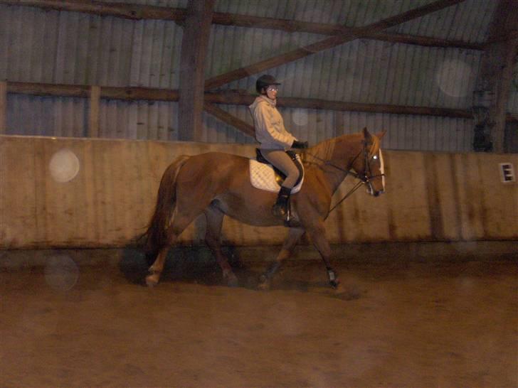 Frederiksborg Maja - Gammel part billede 13