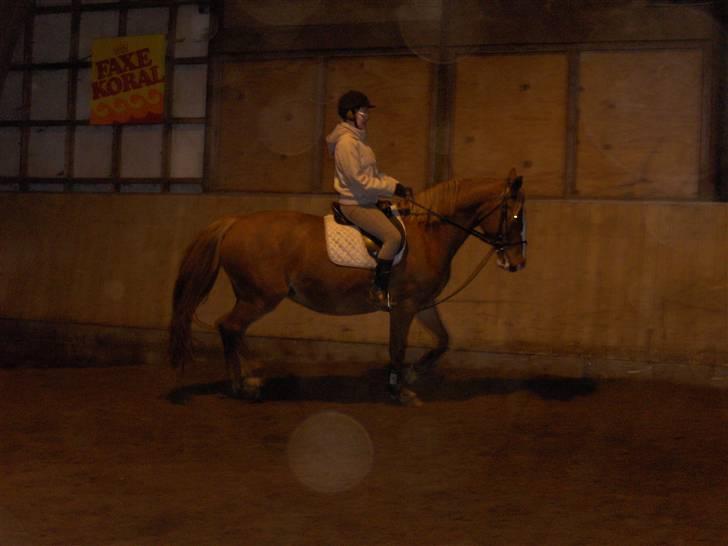 Frederiksborg Maja - Gammel part billede 14