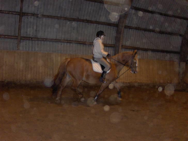 Frederiksborg Maja - Gammel part billede 15