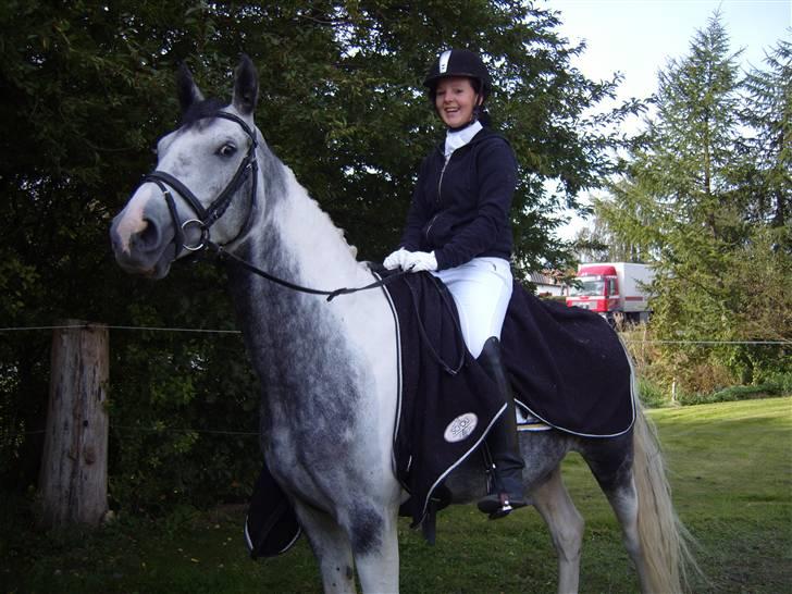 Pinto Pepsi - Til Dressur stævne i Tommerup:) billede 7