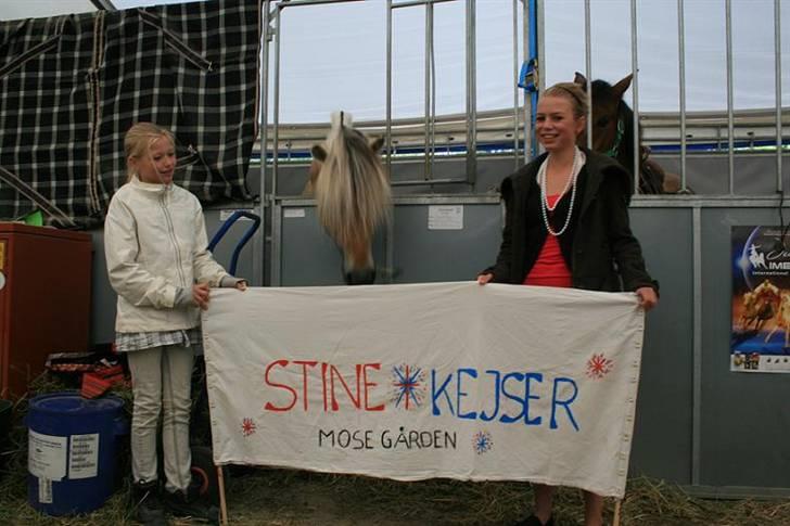 Fjordhest Mosegårdens kejser - #billede er taget af mig og jeg har rettighederne til det -kopiering forbudt# billede 7
