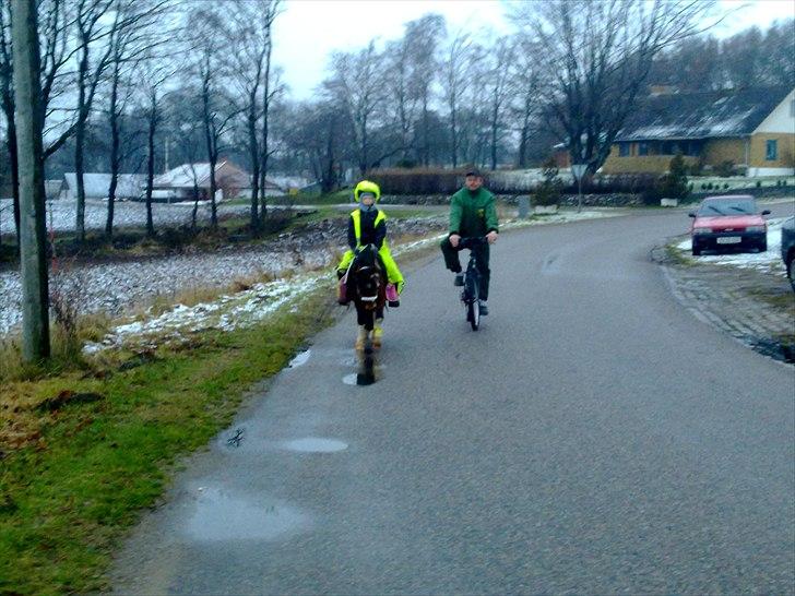 Anden særlig race Bella ( solgt ) - nyt billedet, ja jeg ved ikke hvorfor cykellisten skal med. billede 3
