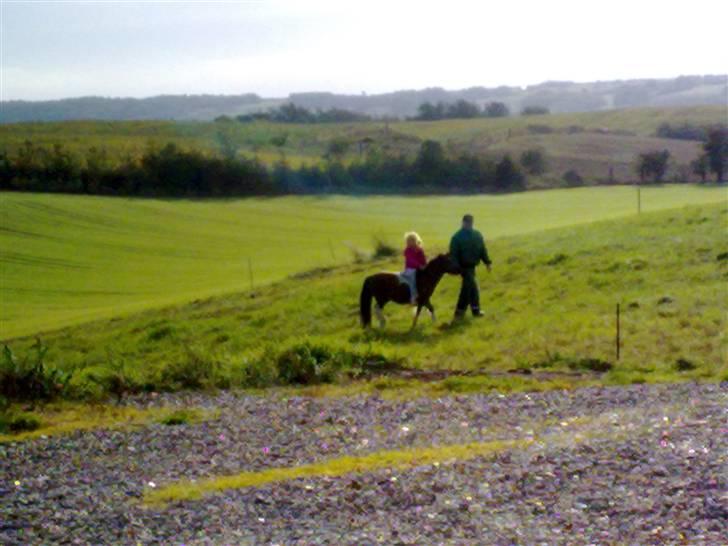 Anden særlig race Bella ( solgt ) - her er jeg med min 2½ dags passer som rider mig, uden sadel. billede 5