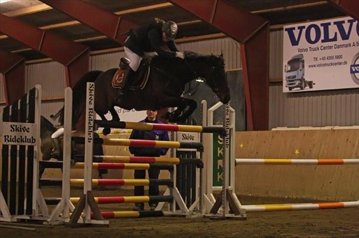 Anden særlig race Tippy B-pony - Tippy og jeg springer 135:D Fotograf er Rikke Johnsen billede 1