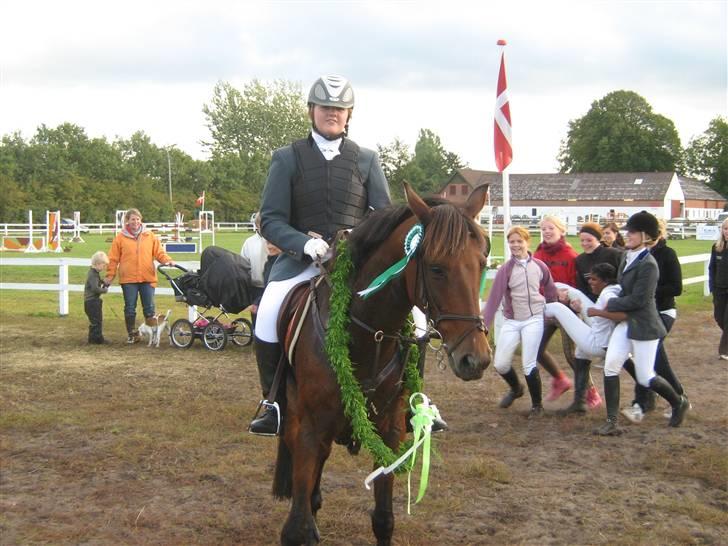 Anden særlig race Tippy B-pony - Blev nummer 3 i distriktsmesterskabet i mb billede 3