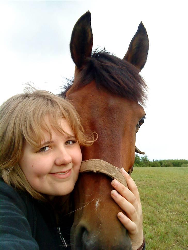 Anden særlig race Tippy B-pony - <3 billede 4