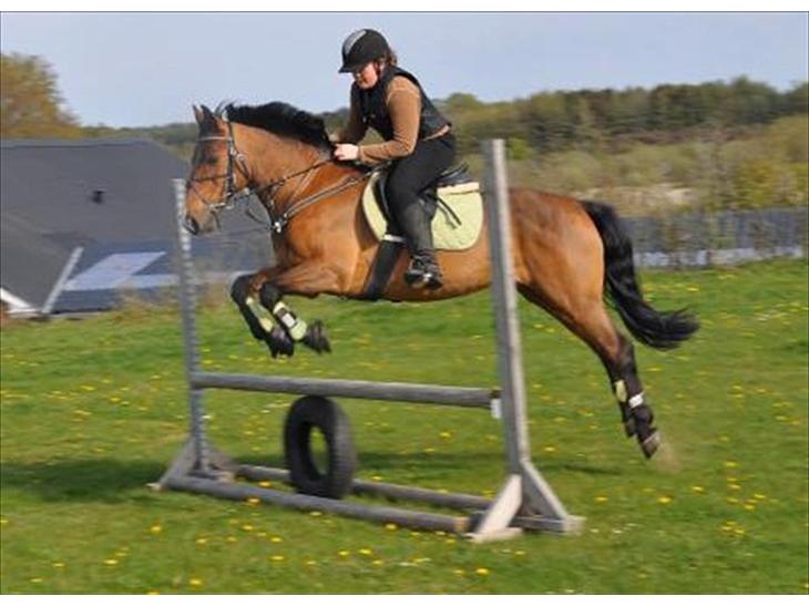 {{currentPhoto.altText}} billede {{currentPhoto.number}}