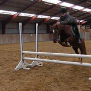 Anden særlig race Flicka solgt.. ):