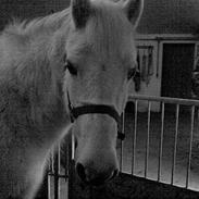 Anden særlig race Fanny -Hvil i fred