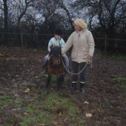 Shetlænder Jackson Speedy.