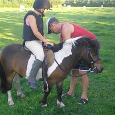 Anden særlig race Holger K ( K for Knudsen)