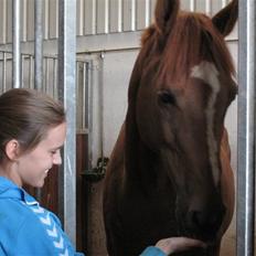 Anden særlig race Ferdinan - R.I.P.