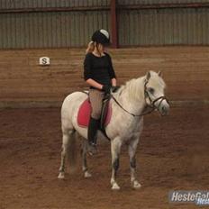 Anden særlig race Nunu