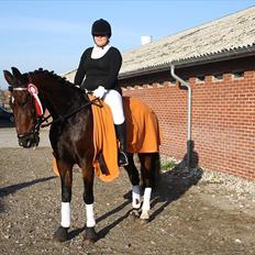 Anden særlig race Rea