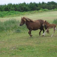 Anden særlig race Magic Mio! Altid gemt i hjertet. <3