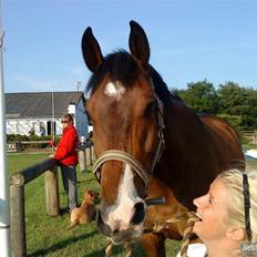 Holstener Kiss Me Quick - Solgt