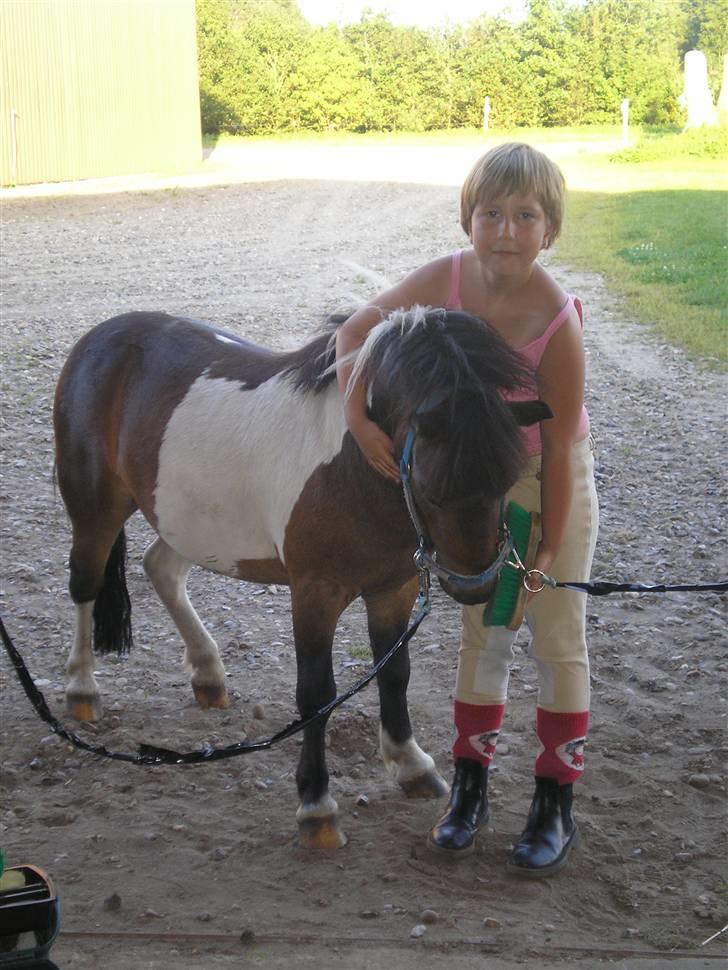 Anden særlig race Holger K ( K for Knudsen) - Velkommen til Holgers profil. billede 1