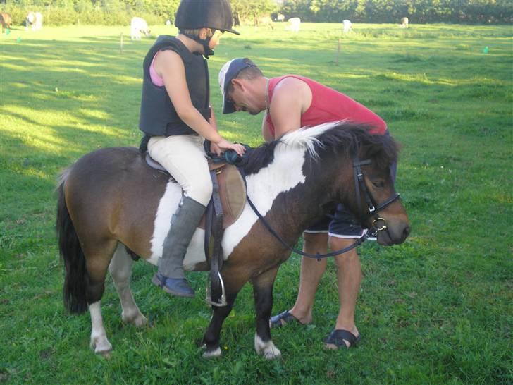 Anden særlig race Holger K ( K for Knudsen) - Klar til første tur. billede 2