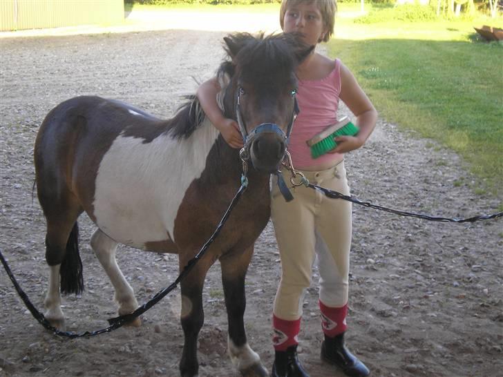 Anden særlig race Holger K ( K for Knudsen) - Nussehovedet Holger. billede 3