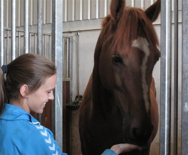 Anden særlig race Ferdinan - R.I.P. - #3 - Endelig hjemme i sin fine boks.. 8/9-09. billede 3