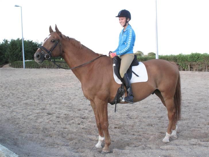 Anden særlig race Ferdinan - R.I.P. - #7 - Første prøvetur, august 09 billede 7