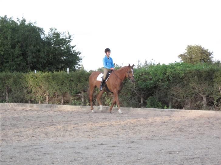 Anden særlig race Ferdinan - R.I.P. - #8 - Første prøvetur, august 09 billede 8