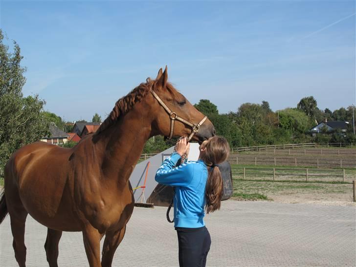 Anden særlig race Ferdinan - R.I.P. - #9 - 8/9-09. billede 9