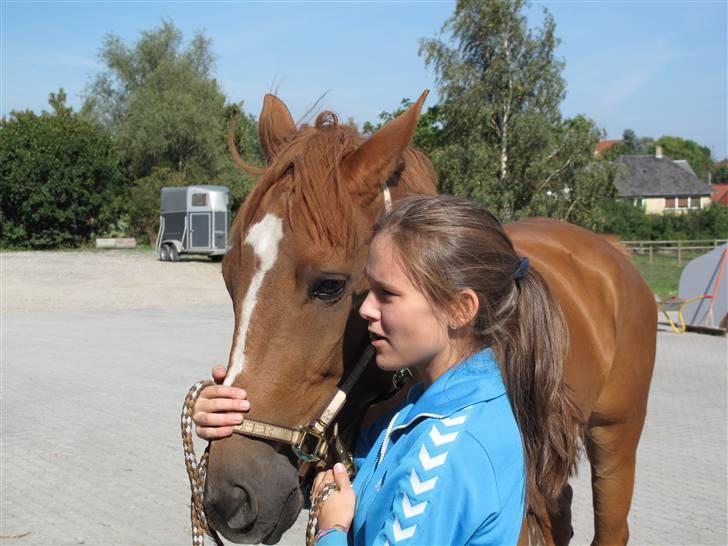 Anden særlig race Ferdinan - R.I.P. - #10 - 8/9-09. billede 10