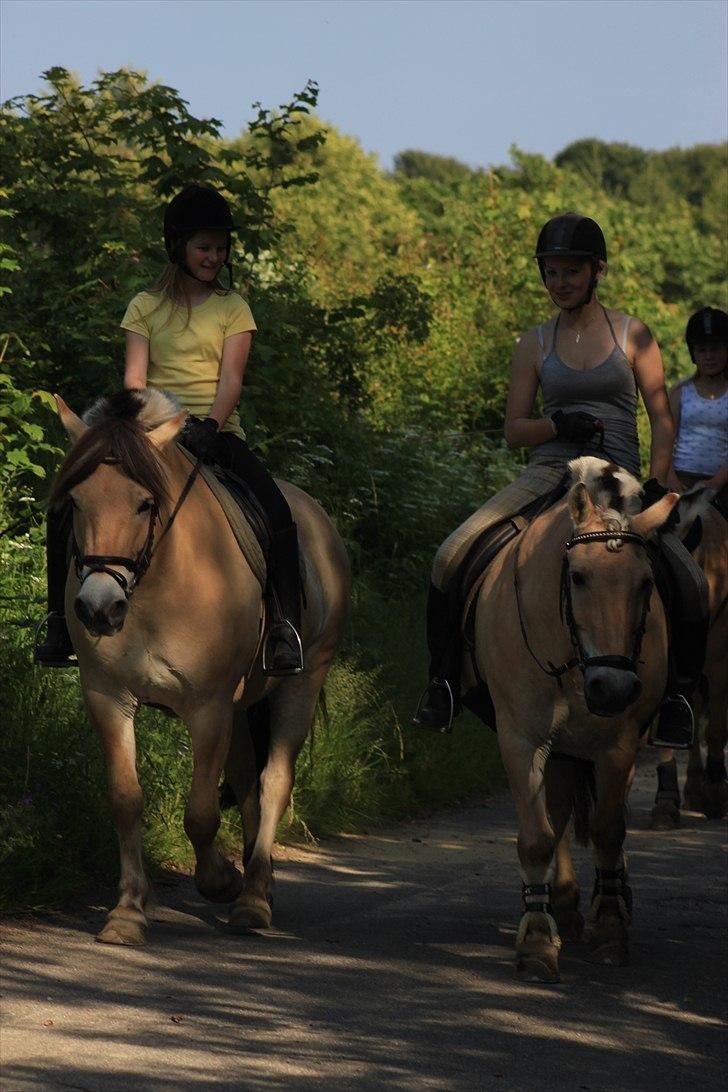 Fjordhest Kenzo - 10) Kenzo og jeg til venstre <3 billede 10
