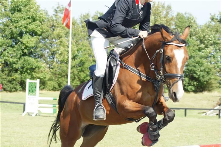 DSP Emilia's Grevenrit  - 14) Mille&Mig i LA 2.plads  billede 14