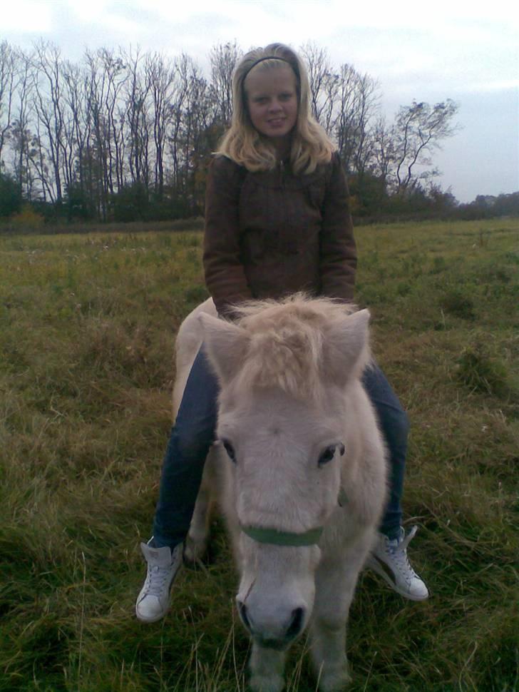 Anden særlig race Sofus.. R.I.P. :´( - sofus og mig billede 1