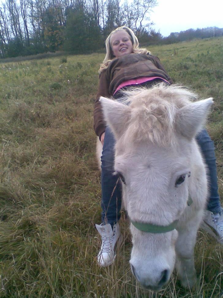 Anden særlig race Sofus.. R.I.P. :´( - og igen billede 3