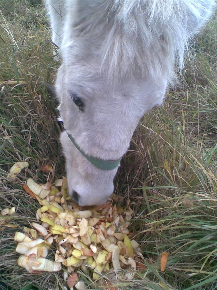 Anden særlig race Sofus.. R.I.P. :´( - nam nam mad!!!!! billede 6