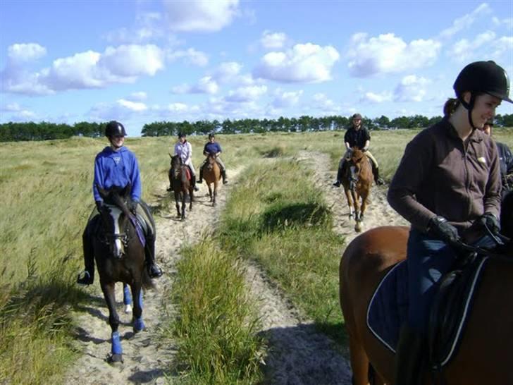 Dansk Varmblod Chi-Chi - rigtig hyggelig tur :D billede 5