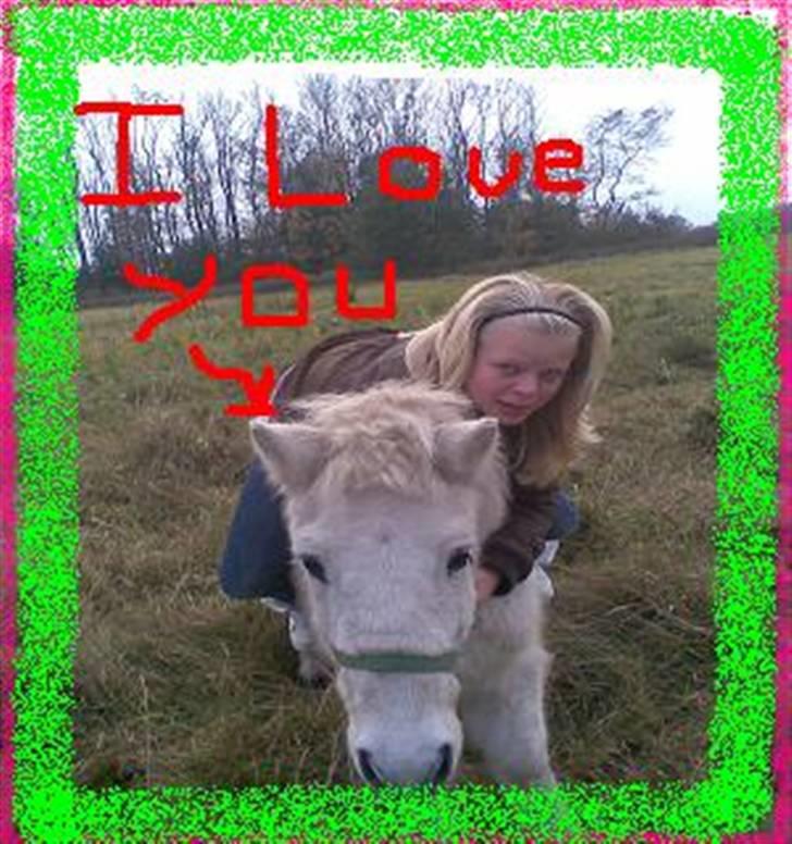 Anden særlig race Sofus.. R.I.P. :´( -  I LOVE YOU<3 billede 15