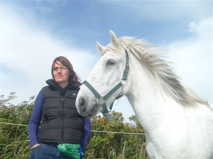 Islænder Surtur fra Fårup - Smukke Surtur og Ulla billede 5