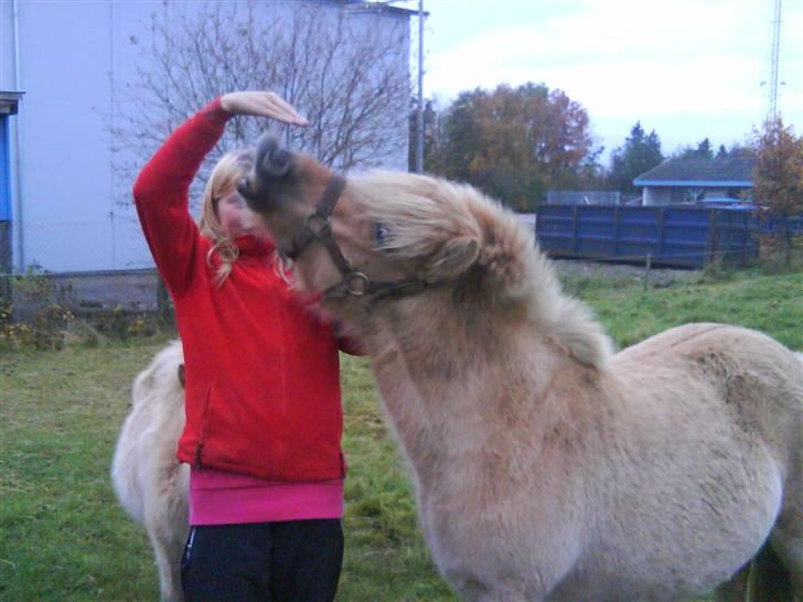 Anden særlig race tøsen billede 12