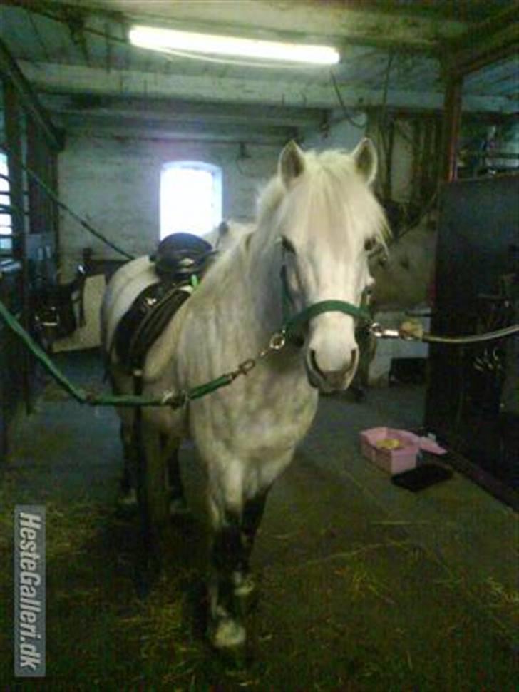 Anden særlig race Nunu - En af de første gange billede 6