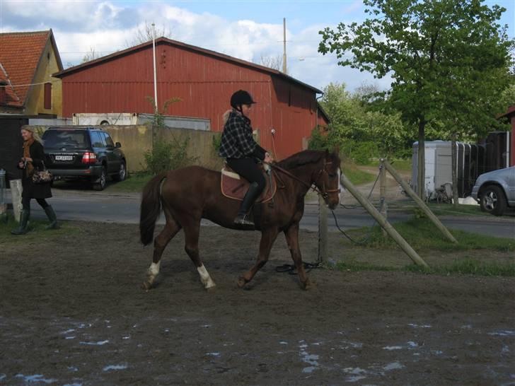 DSP Frederik billede 5