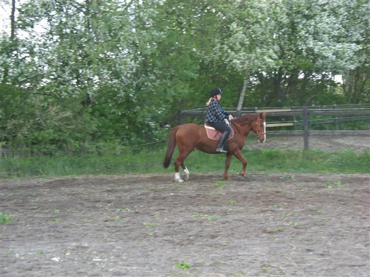 DSP Frederik billede 6