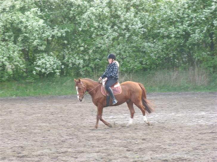 DSP Frederik billede 9