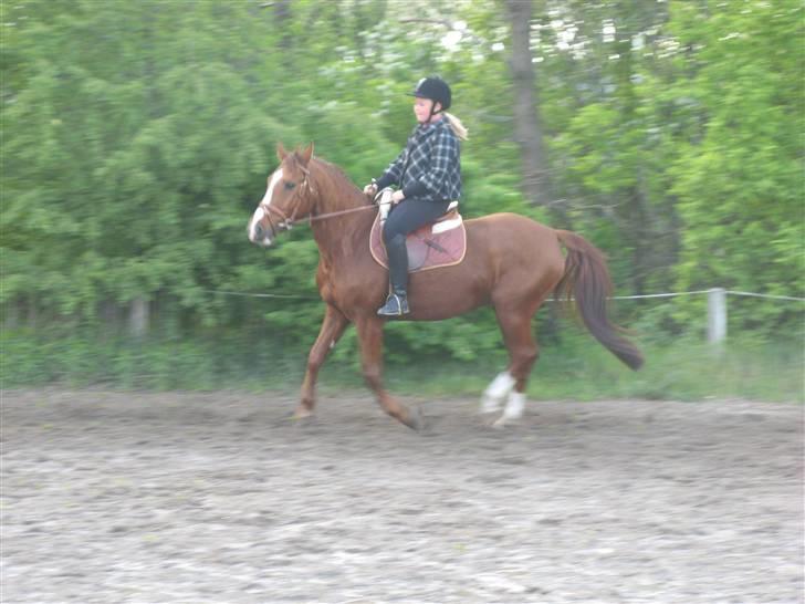 DSP Frederik billede 10