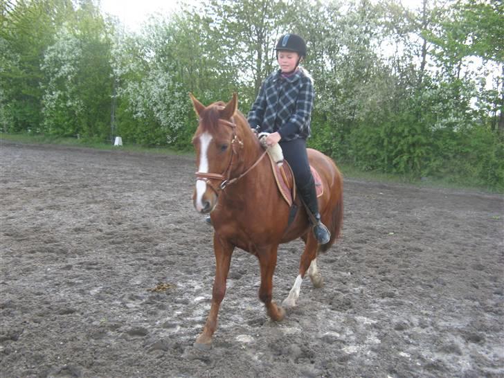 DSP Frederik billede 12